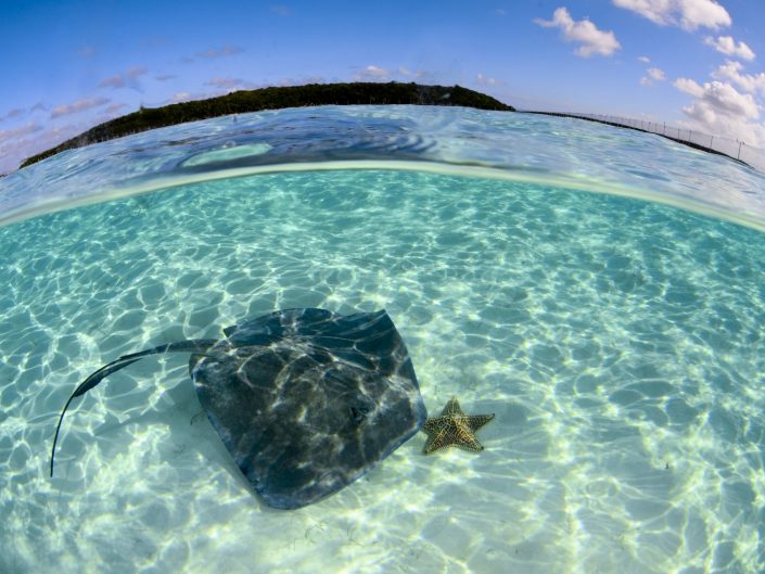 Bahamas